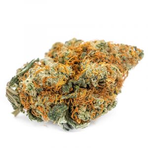 Buy Amnesia Haze strain online USA