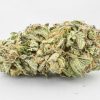 Buy Comatose weed strain online USA