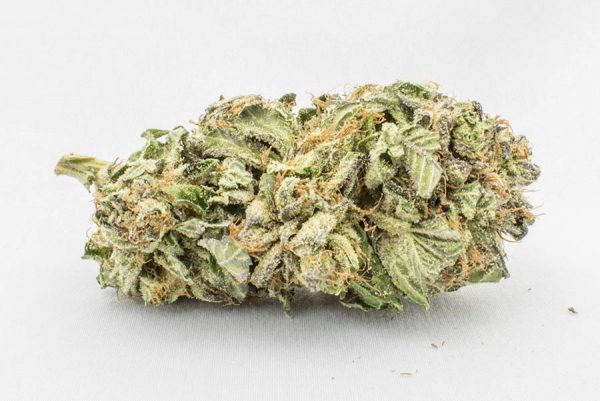 Buy Comatose weed strain online USA