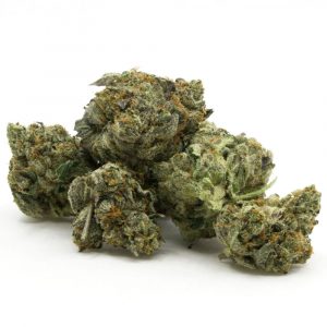 Death Gas weed strain for sale online USA
