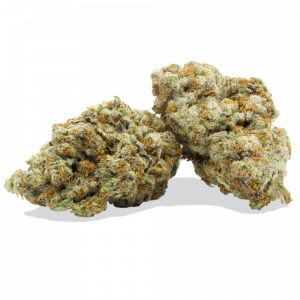 Buy Dolato weed strain online USA