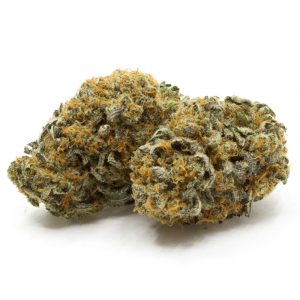 Buy Durban Cookies strain online USA