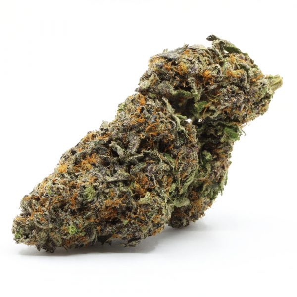 Buy French Marcaroon strain online USA