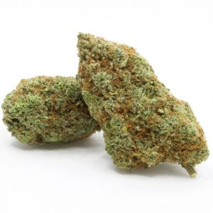 Buy Gorilla Glue strain USA