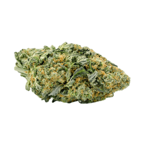 Buy Northern Lights Strain Online