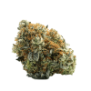 Buy marijuana online Latin American