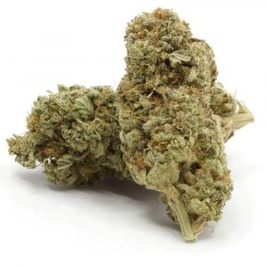 Sour Power Sativa Hybrid