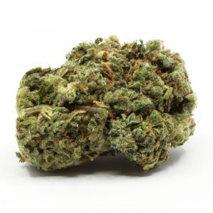 Sugar Black Rose strain for sale online