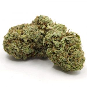 Thin Mint weed strain for sale online USA