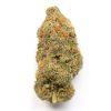 Buy lavender Kush Strain Online