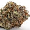 Buy Blue Cookies weed strain online