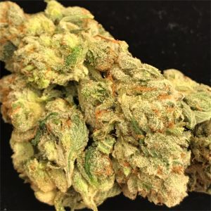 Buy Bruce Banner weed strain online USA