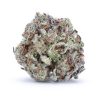 Buy Master Purple Kush Online