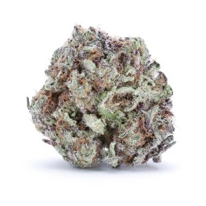 Buy Master Purple Kush Online