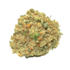 Buy Moby Dick Strain Online