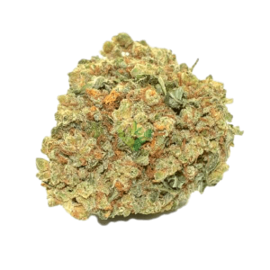 Buy Moby Dick Strain Online