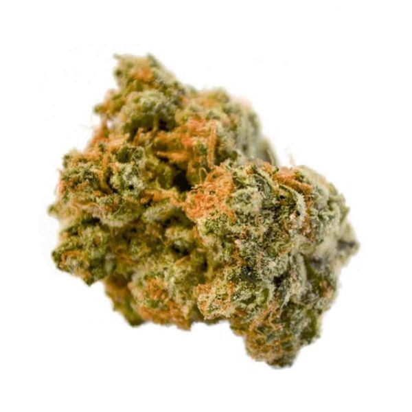 Buy Orange Cookies strain online