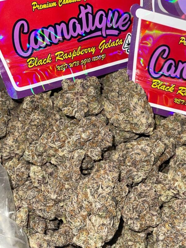 Order Cannatique Black Raspberry online